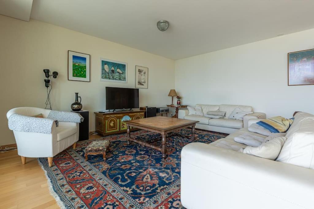 Lakeside-Apartment-1 Grand Appartement Familial Avec Terrasses Et Vue Panoramique Vevey Ngoại thất bức ảnh